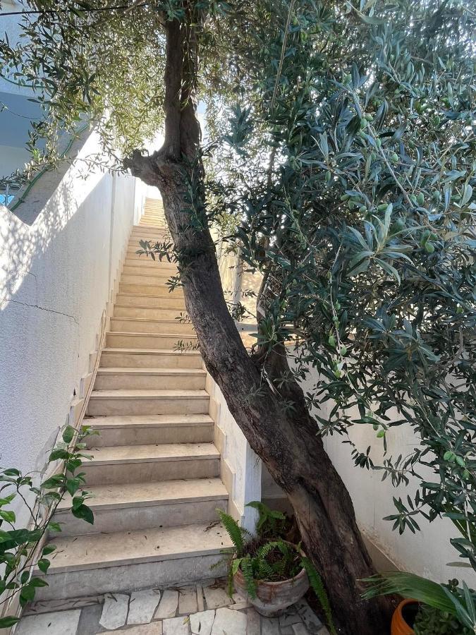 Luxeux Et Ideal A Marsa Plage Vue Sur Mer Apartment La Marsa Luaran gambar